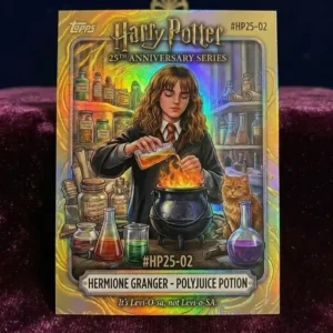 Harry Potter 25th Anniversary Collection Box