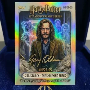 Harry Potter 25th Anniversary Collection Box